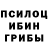 Псилоцибиновые грибы ЛСД Sara Vetricini