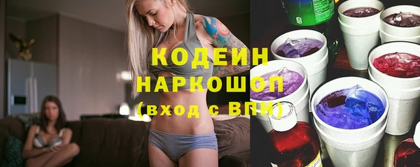 гашик Билибино