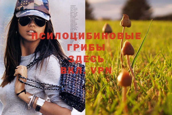 метадон Приозерск