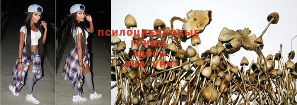 метадон Приозерск