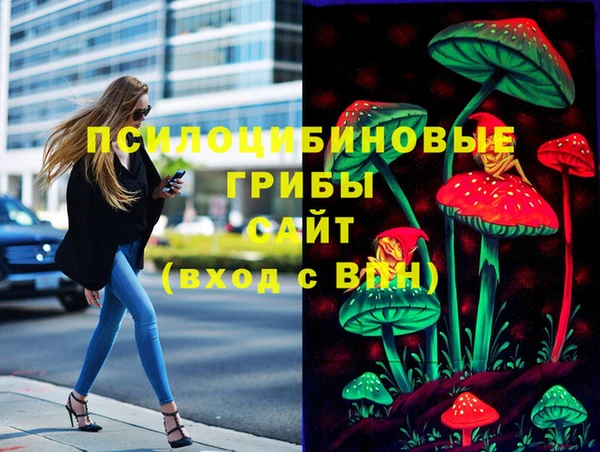 метадон Приозерск